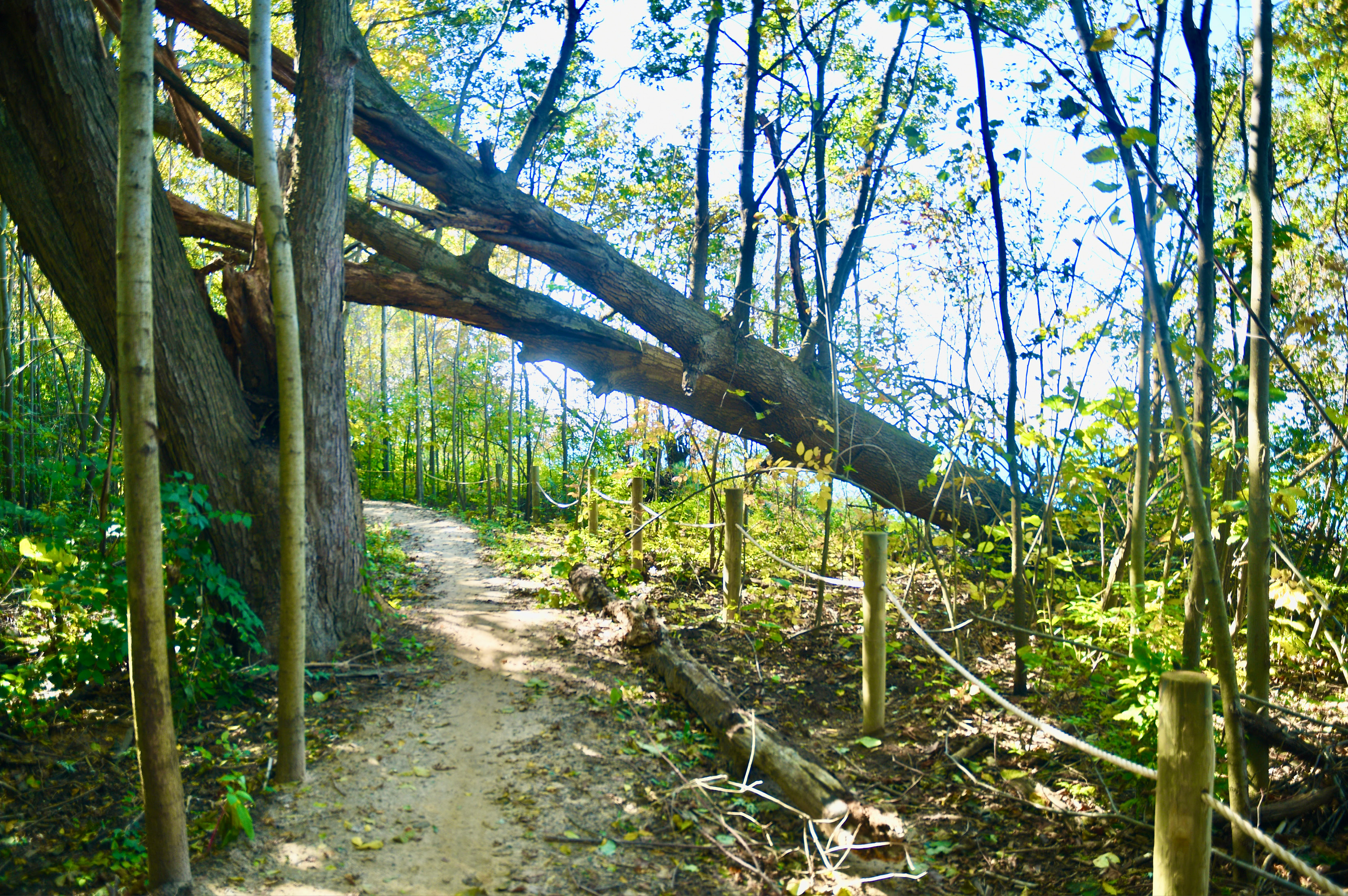 Lakeview Trail